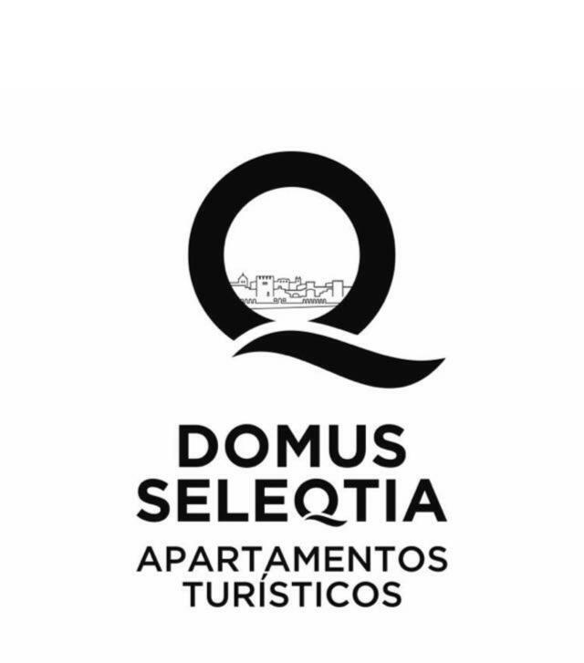 Domus Seleqtia Plaza De Santiago Leilighet Caces Eksteriør bilde